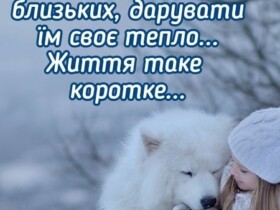 з днем обіймів картинки