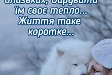 з днем обіймів картинки