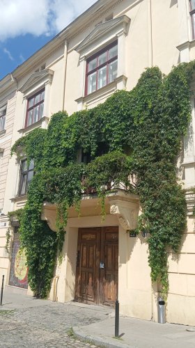 У Львові створили реєстр ліан: вже внесено 322 рослини