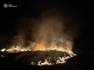 На Львівщині за добу зафіксовано 21 пожежа сухої трави