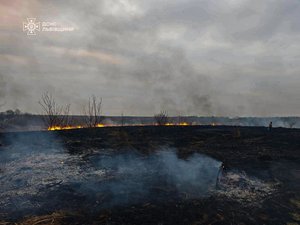 За добу на Львівщині зафіксовано 37 пожеж в екосистемі