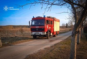 На Львівщині під час пожежі сухостою загинув чоловік