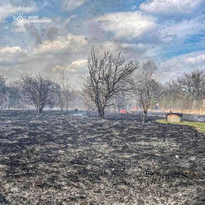 На Львівщині під час пожежі сухостою у дачному кооперативі загинув чоловік