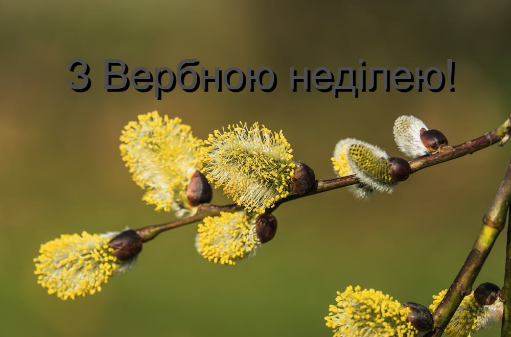 з Вербною неділею